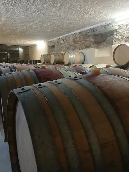 Visite du caveau Mas Rigal à La Selve