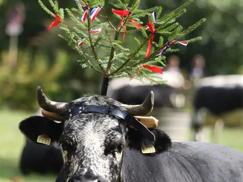 Fête de la Transhumance - Wandelfescht