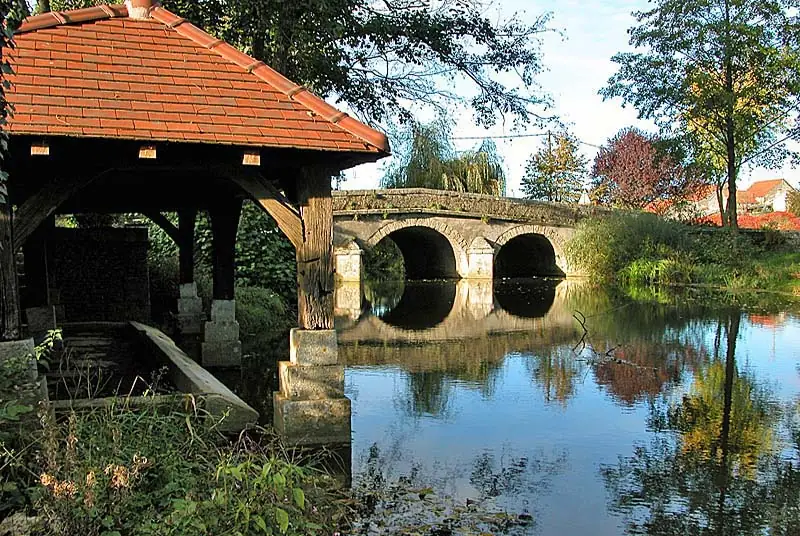 Lavoir au fil de l'eau N°1 à Dommarien