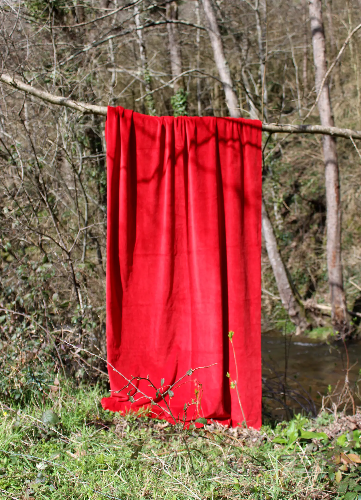 Laissez verdure