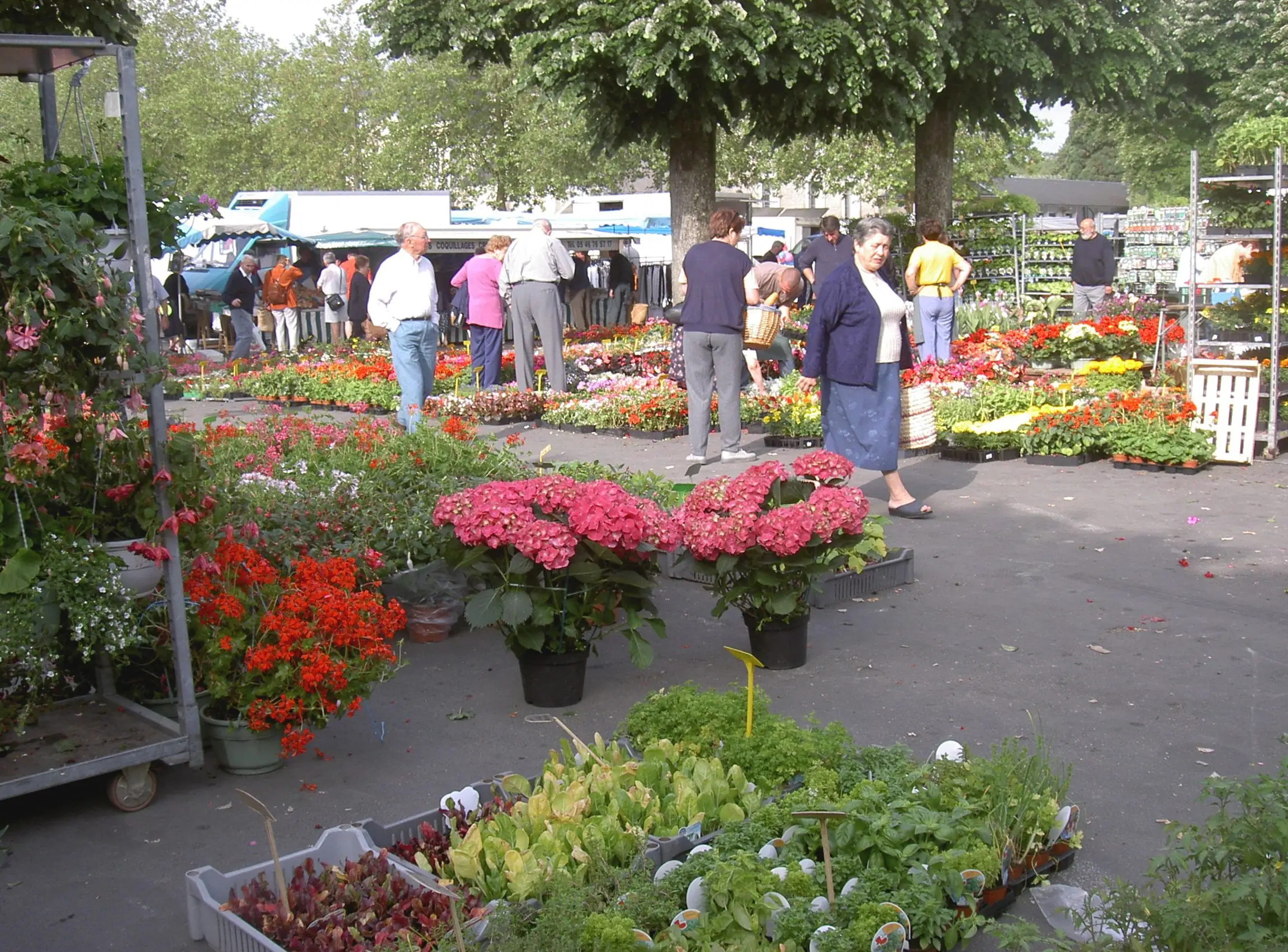 Marché de Chauvigny