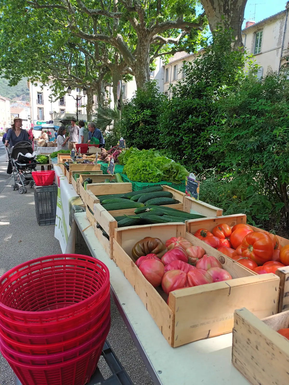 MARCHÉ DES PRODUCTEURS DE PAYS À LODÈVE