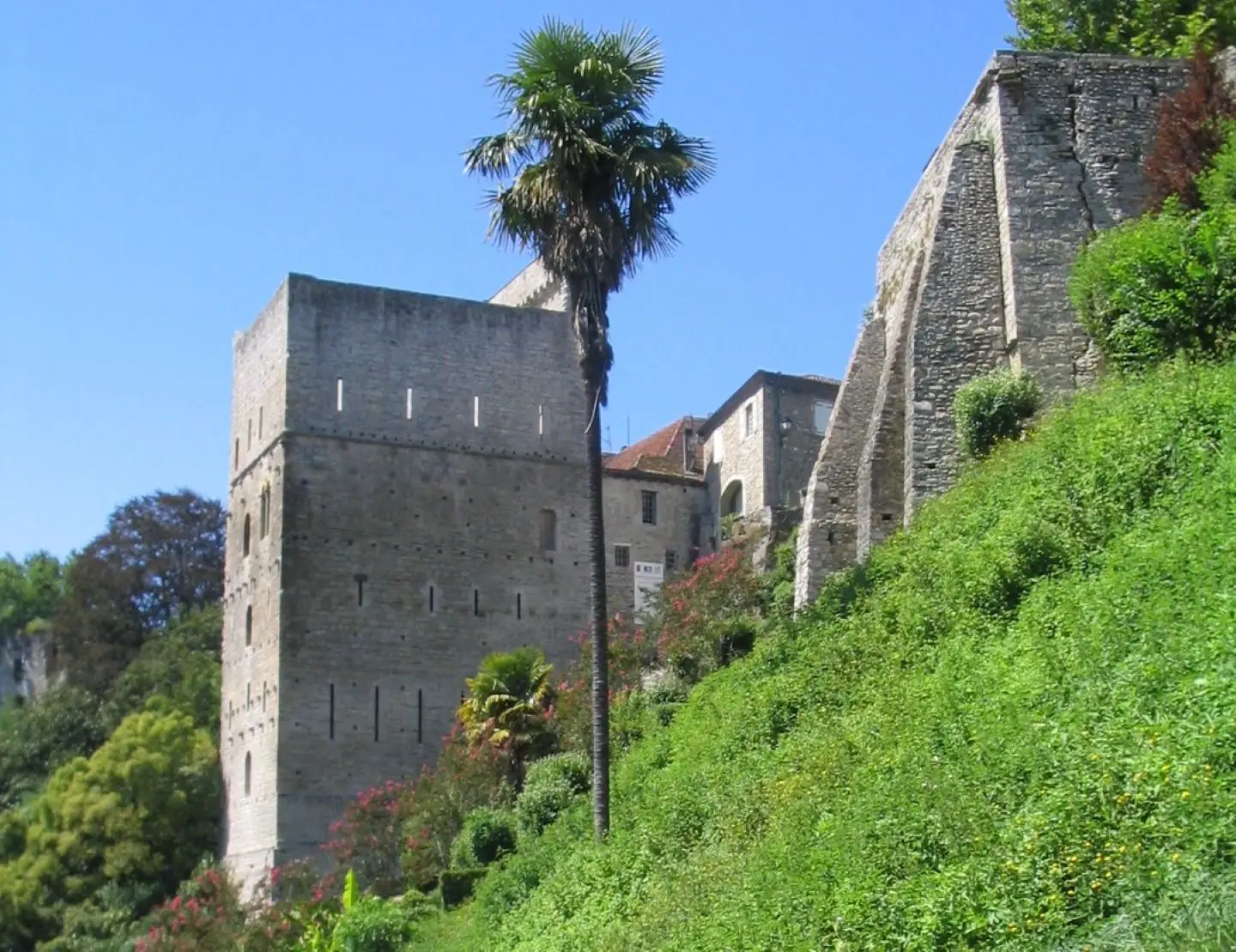 Visite commentée : A la découverte de la cité médiévale et billet d'entrée à la Tour Monréal