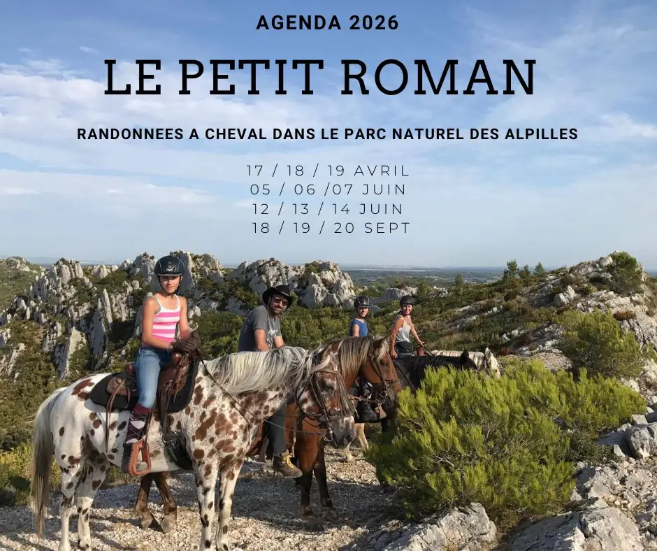 Randonnée à cheval en pension complète ou à la journée aux Ecuries du Petit Roman