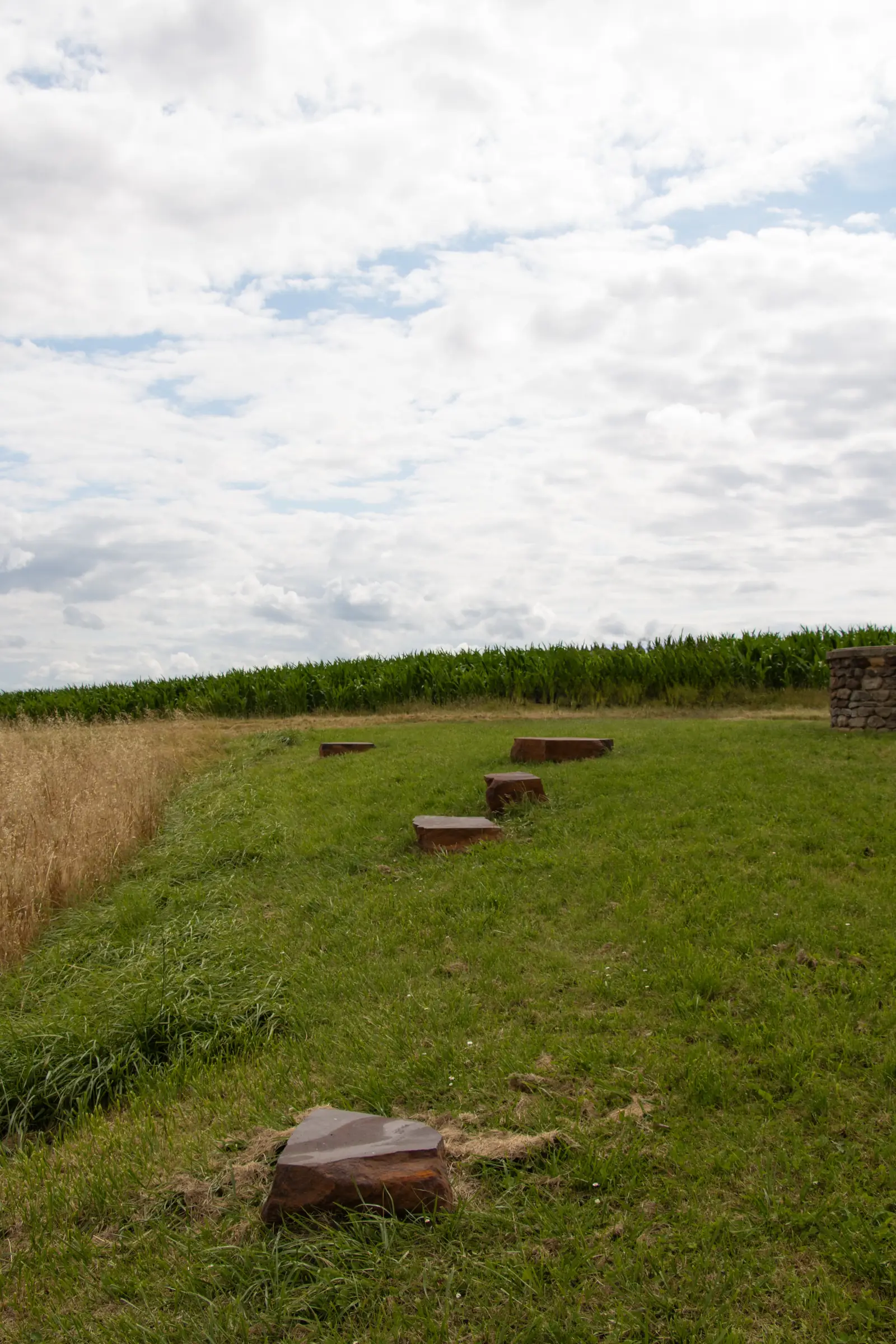 "allons voir !" Parcours d’art contemporain en Pays Fort