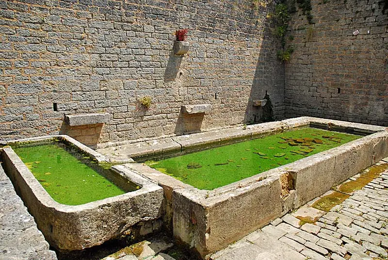 Fontaine et lavoir de Saints-Geosmes