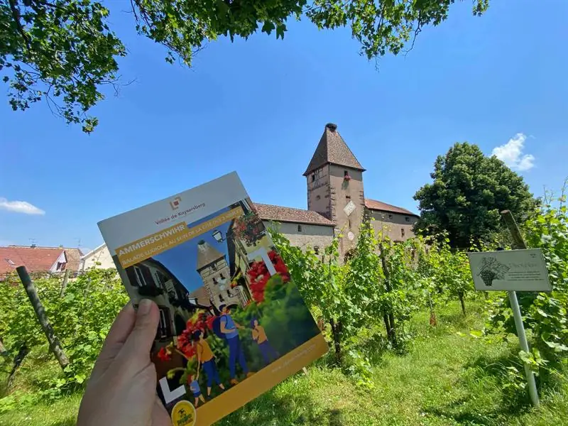 Ammerschwihr