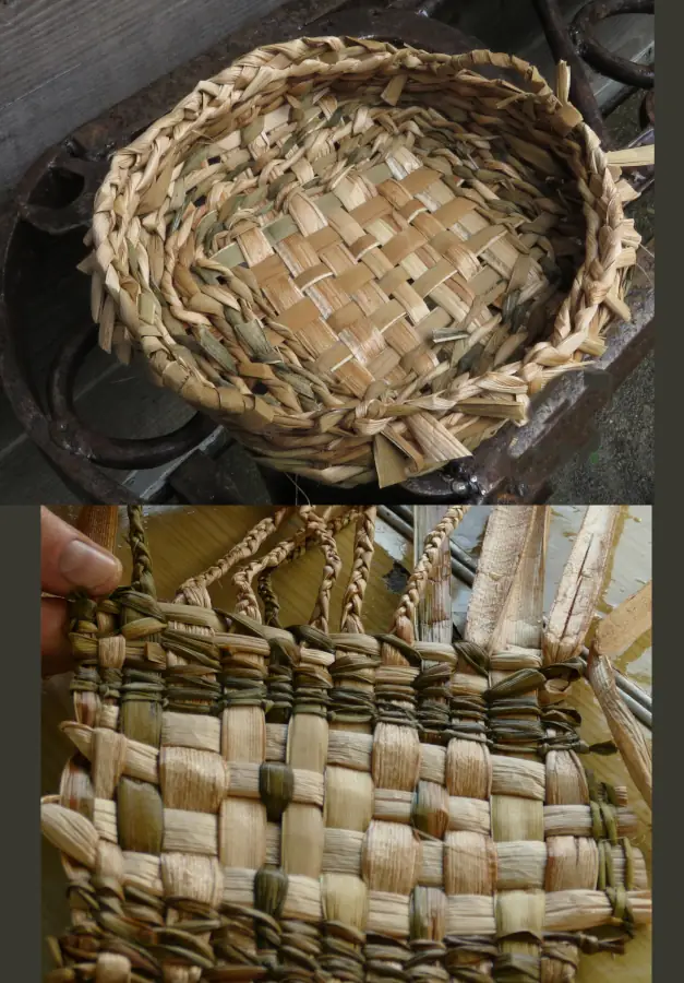 Stage de Vannerie sauvage, récolte et tressage