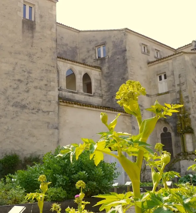 La Collégiale