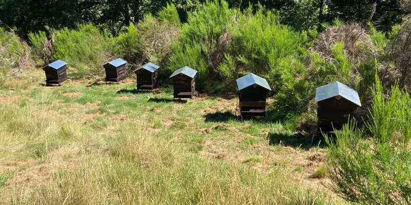 La ferme du gentleman