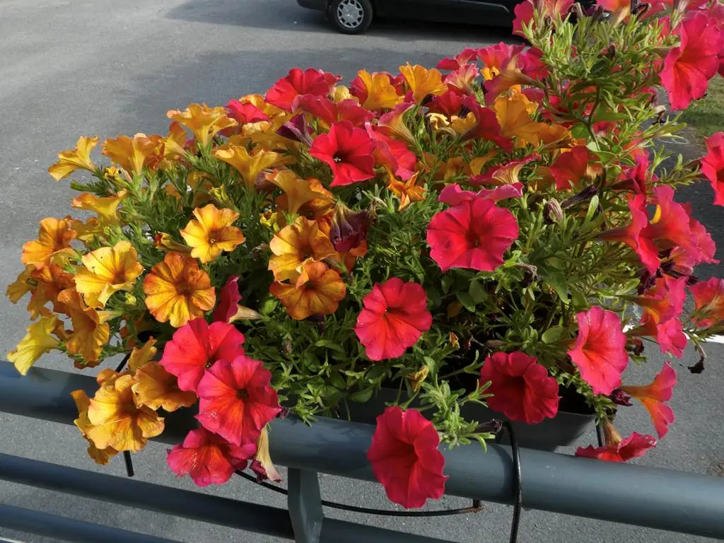 La Neuville-en-Tourne-à-Fuy - Village Fleuri "2 fleurs"