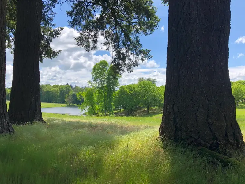 Visite guidée - Domaine de Bort, château et parc