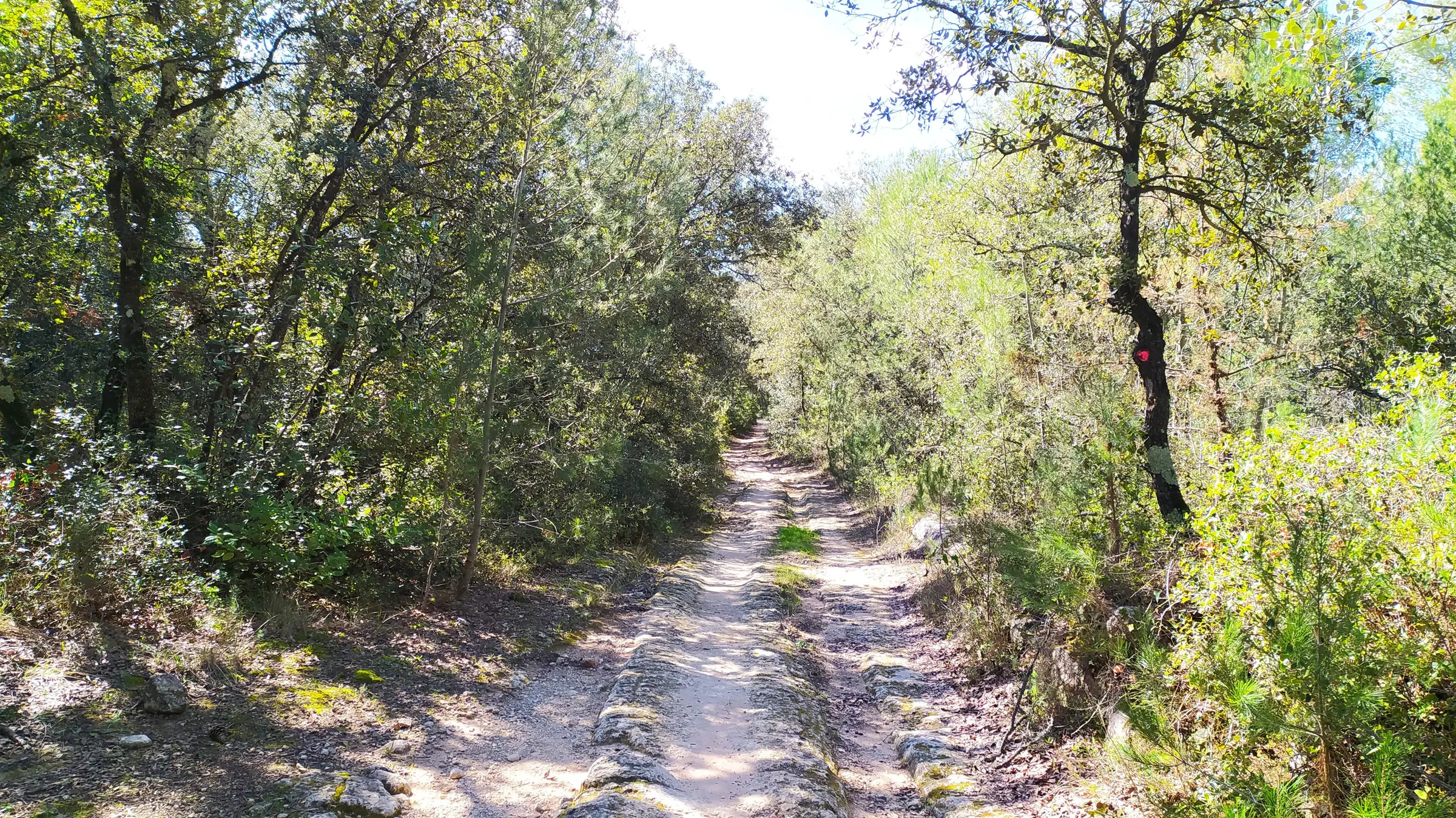 ANCIENNES CARRIÈRES DE BEAULIEU ET DE SUSSARGUES