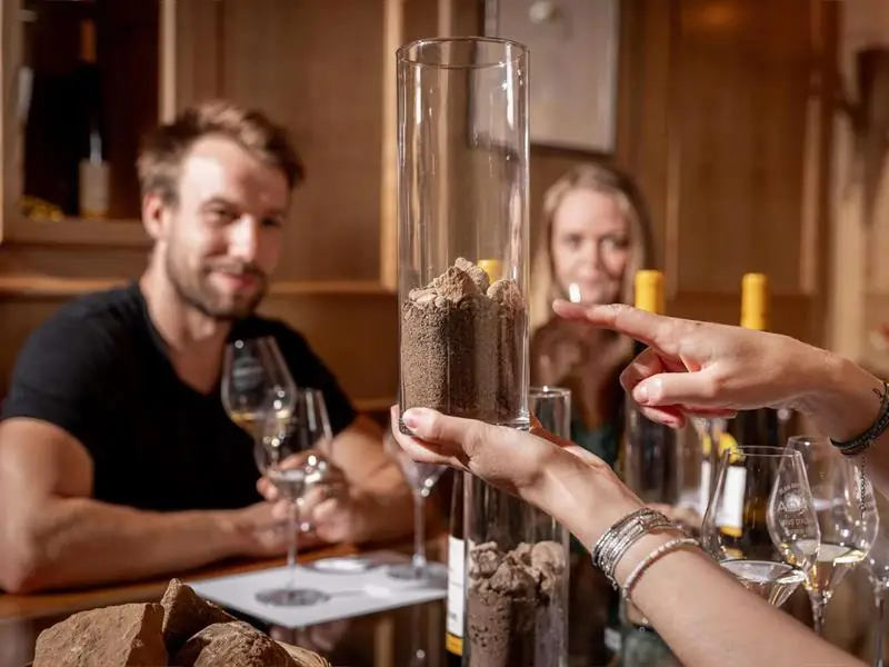 Parenthèse Vigneronne : la Biodynamie et l'expression sur le Grand Cru Kaefferkopf