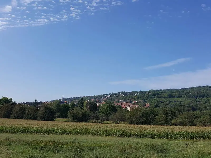 Bischoffsheim
