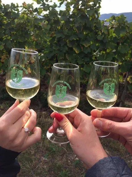 Marche gourmande - Sigolsheim