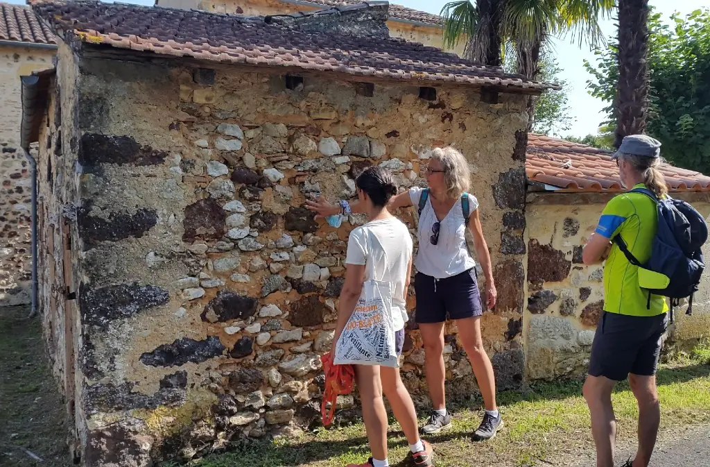 Balades Cultures et Nature : Cadouin: quand les moines observent les insectes