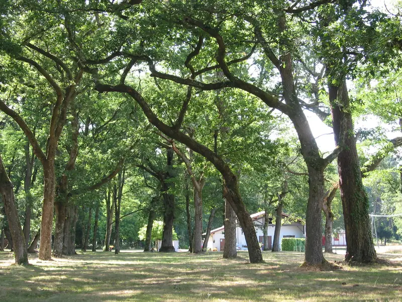 Airial de Douzevielle