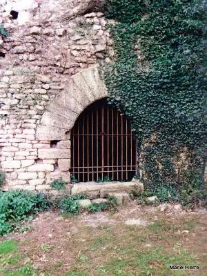 Grotte aux Palmiers