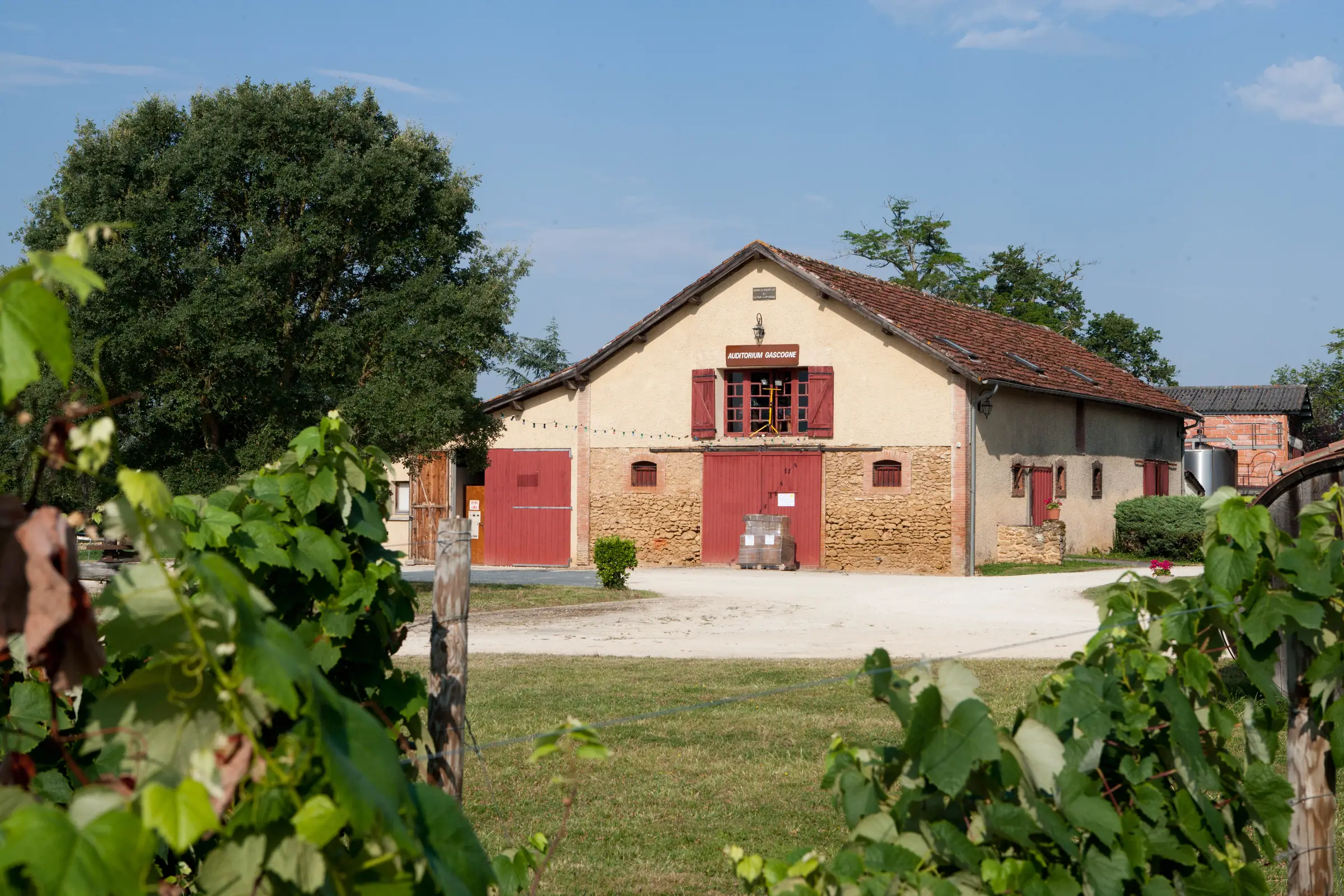 "Chai ouvert !" à l'Écomusée de l'Armagnac