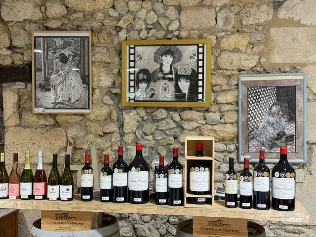 De la Vigne aux Arts au château d'Osmond