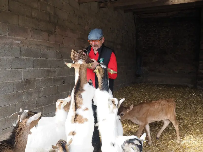 La Ferme aux 5 saisons