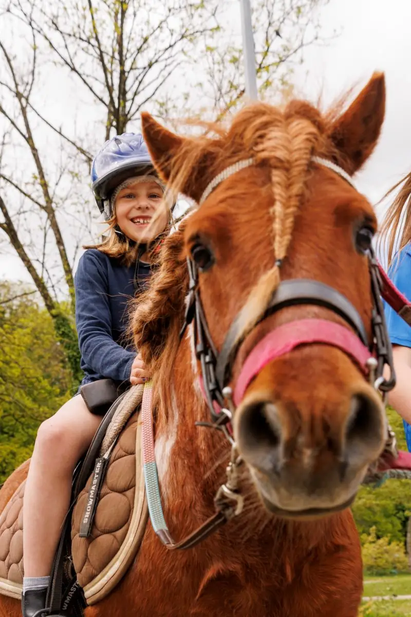 Balades à poney dans la cité sourdine