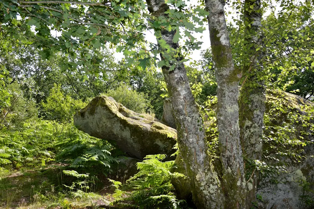 Sentier des pierres à légendes