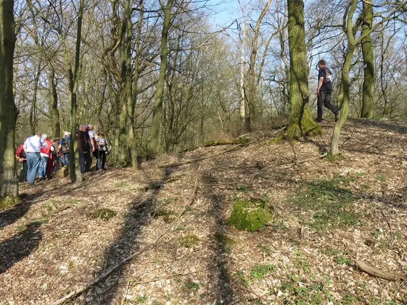 Le tumulus
