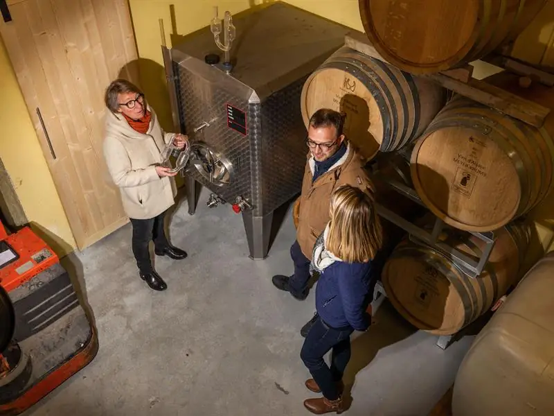 Découverte de la vigne et du vin