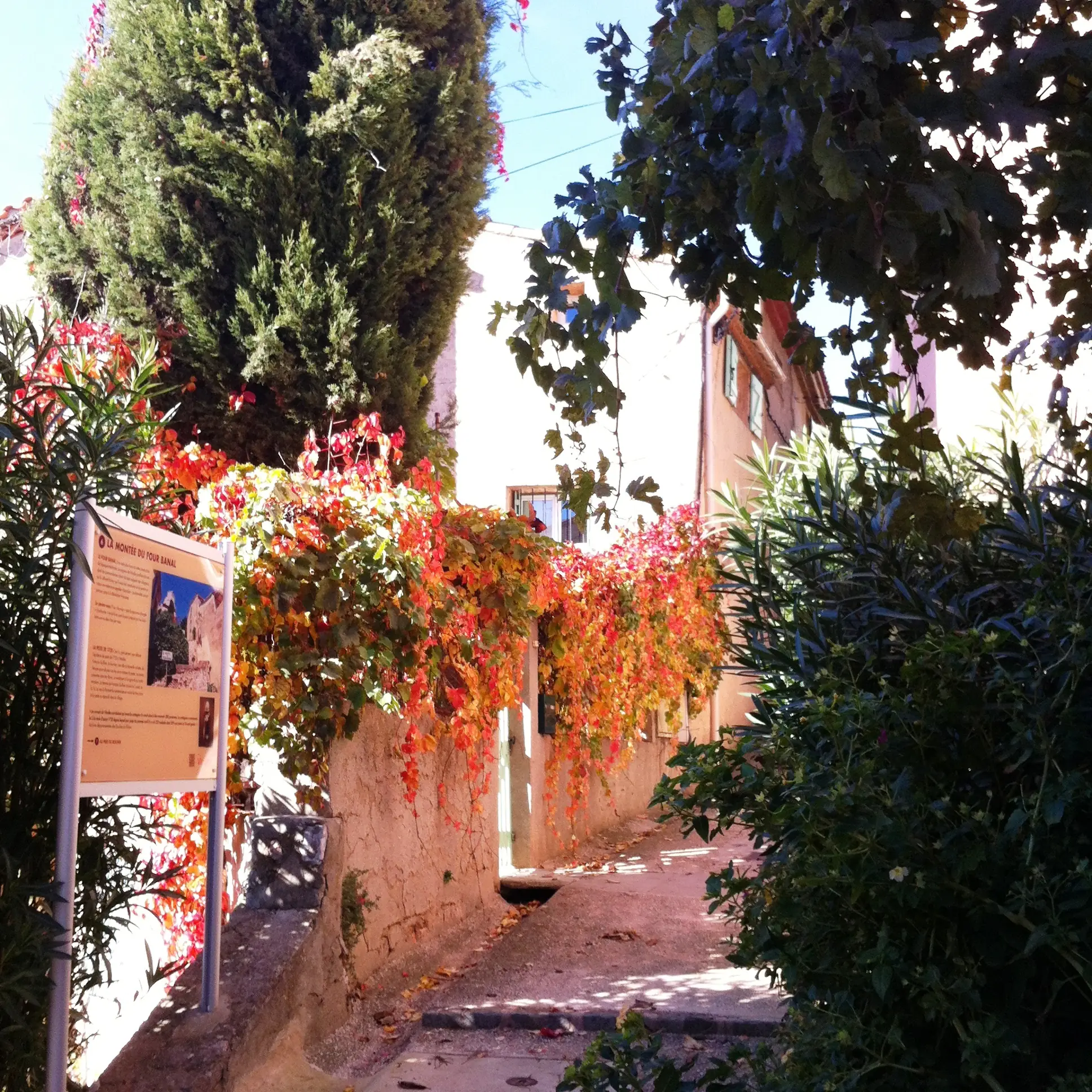 Decouverte Du Vieux Village