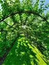 Rendez-vous aux jardins du Plessis Sasnières