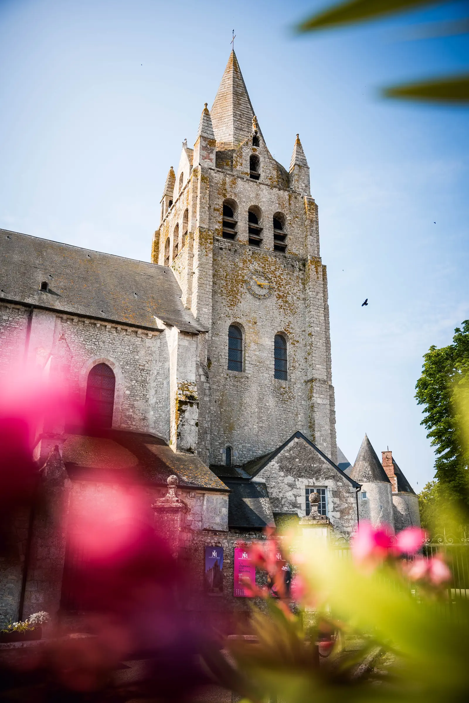Collégiale Saint-Liphard