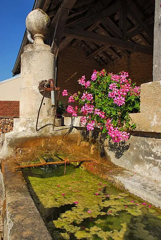 Fontaine ronde et lavoir de Ternat