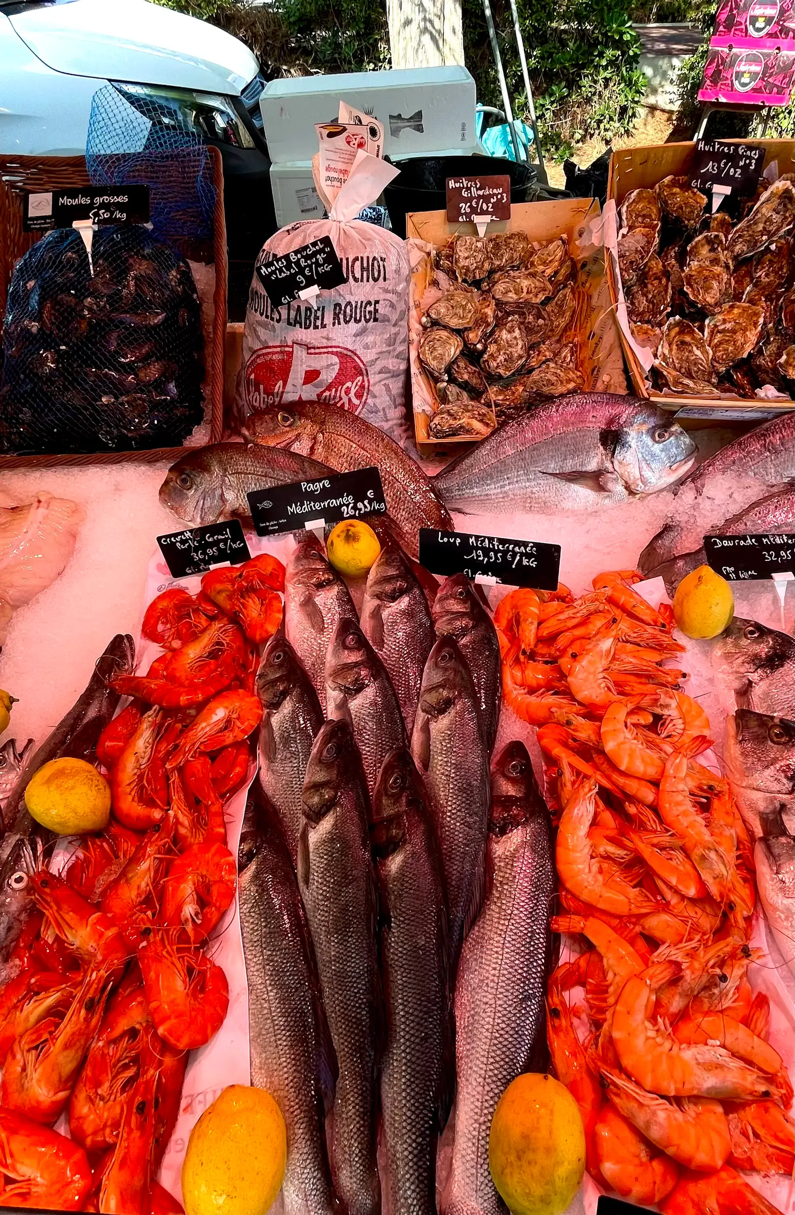 Le Marché bi-hebdomadaire