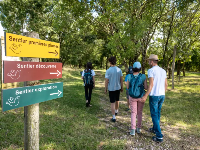 Samedi ornitho à Terres d'Oiseaux