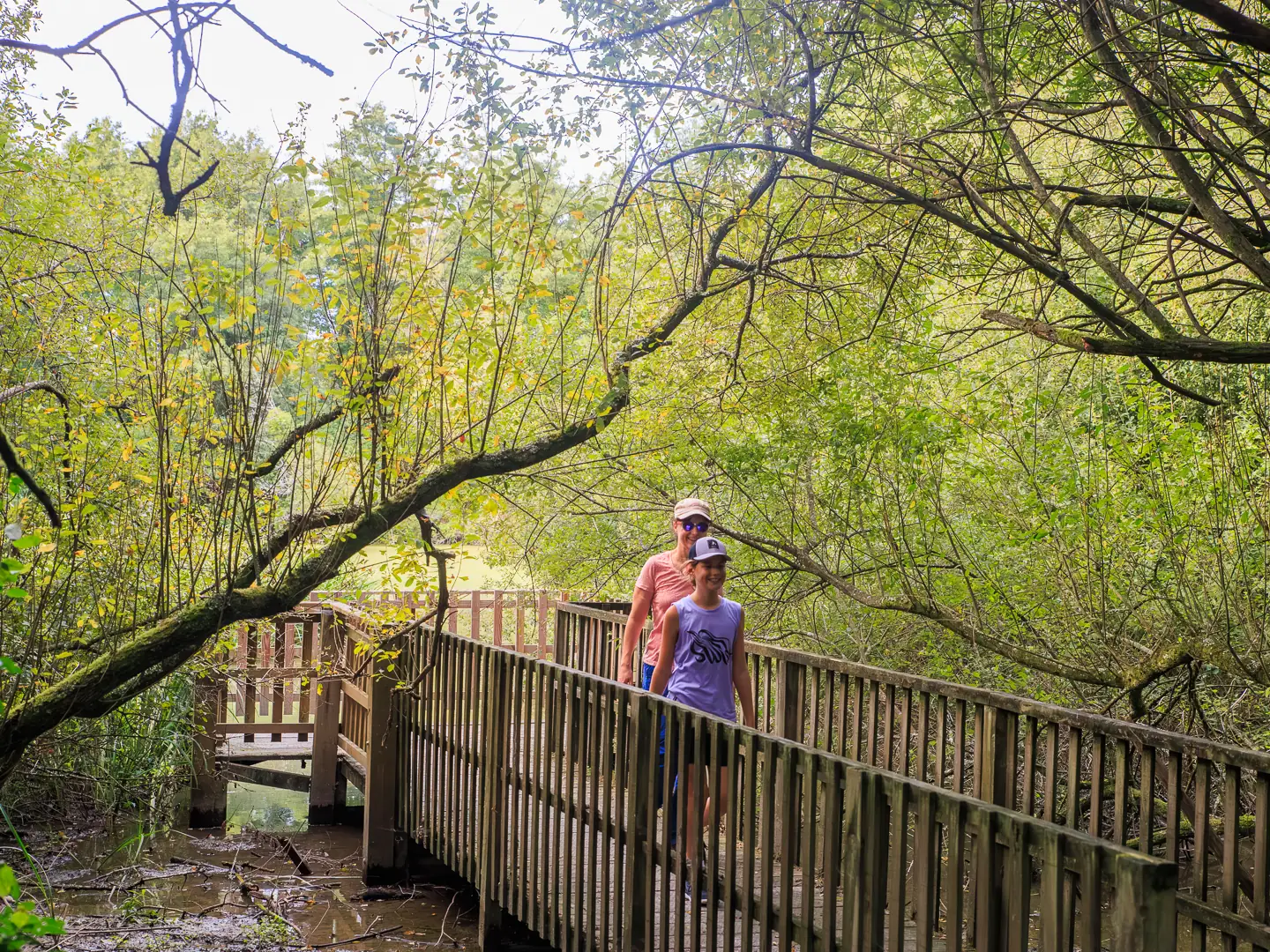 Promenade en paysages d'eaux aux berges de l'Arlas