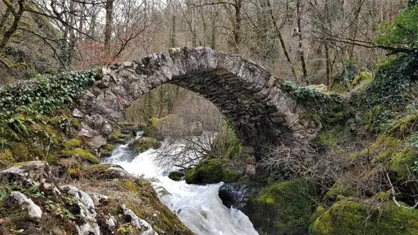 Visite du village de Peyrusse le Roc et du site médiéval (groupes)