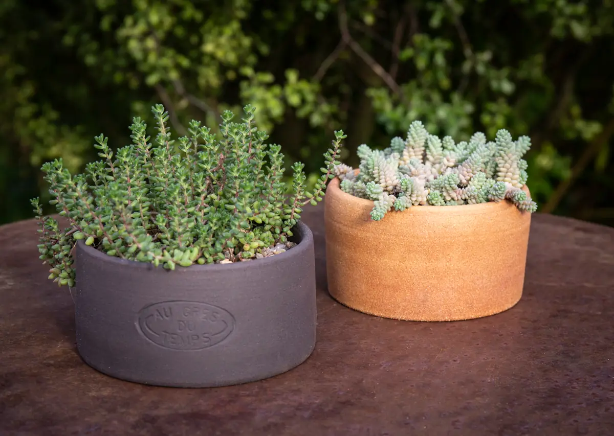 Poterie Au Grès du Temps
