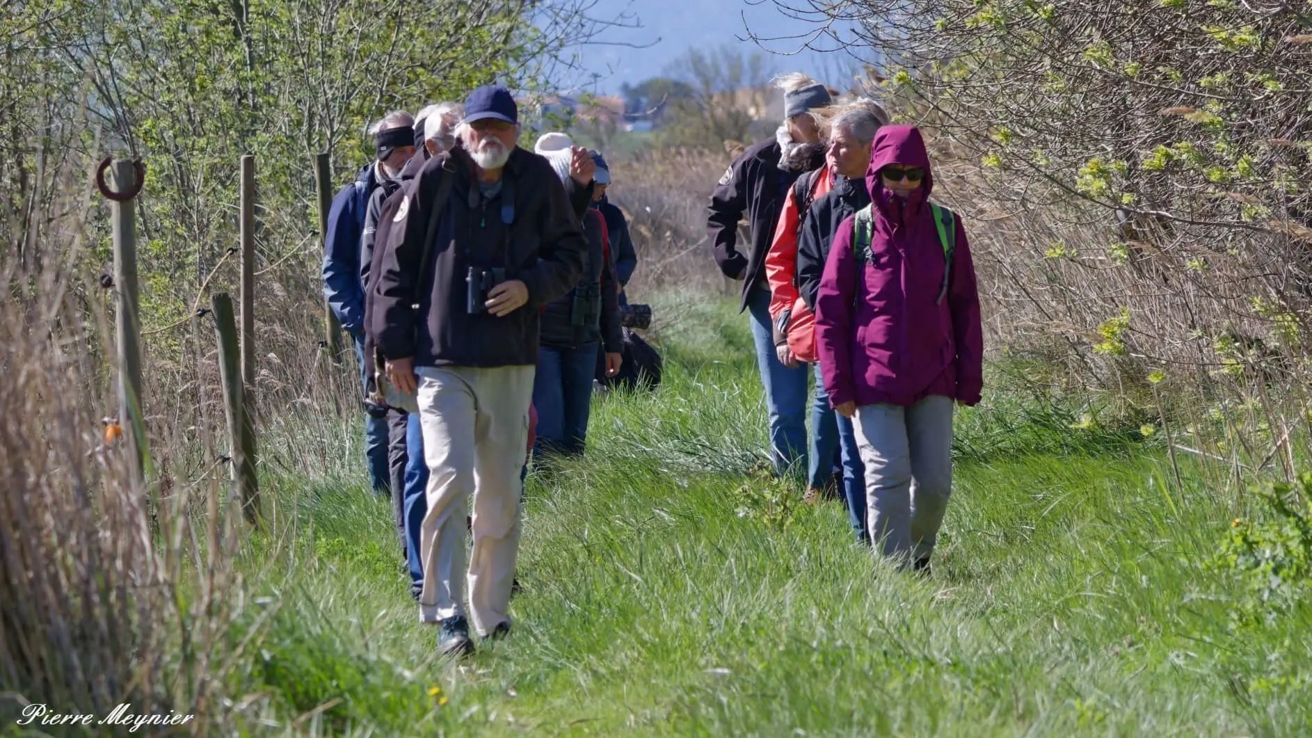 BALADES NATURALISTES DU MARDI