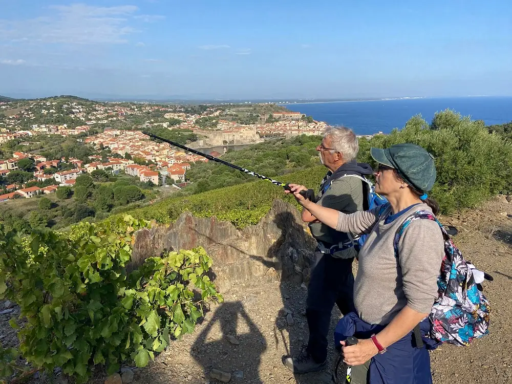 BALADE VINOHRANDO DANS LES VIGNES - OENOTOURISME !