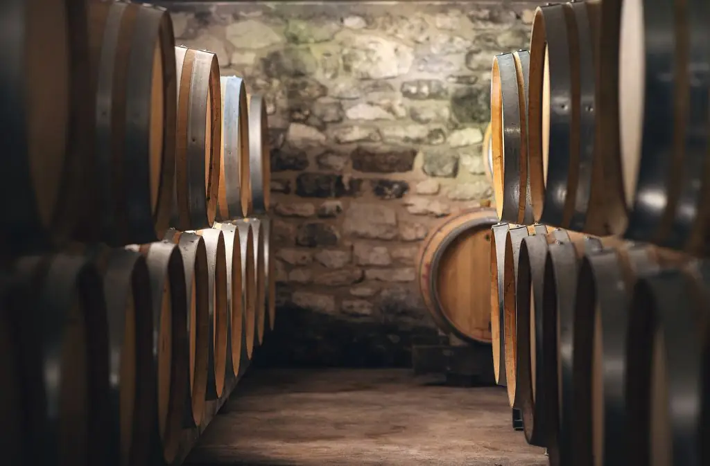 Visite pédagogique & dégustation gourmande | Domaine Grange Neuve