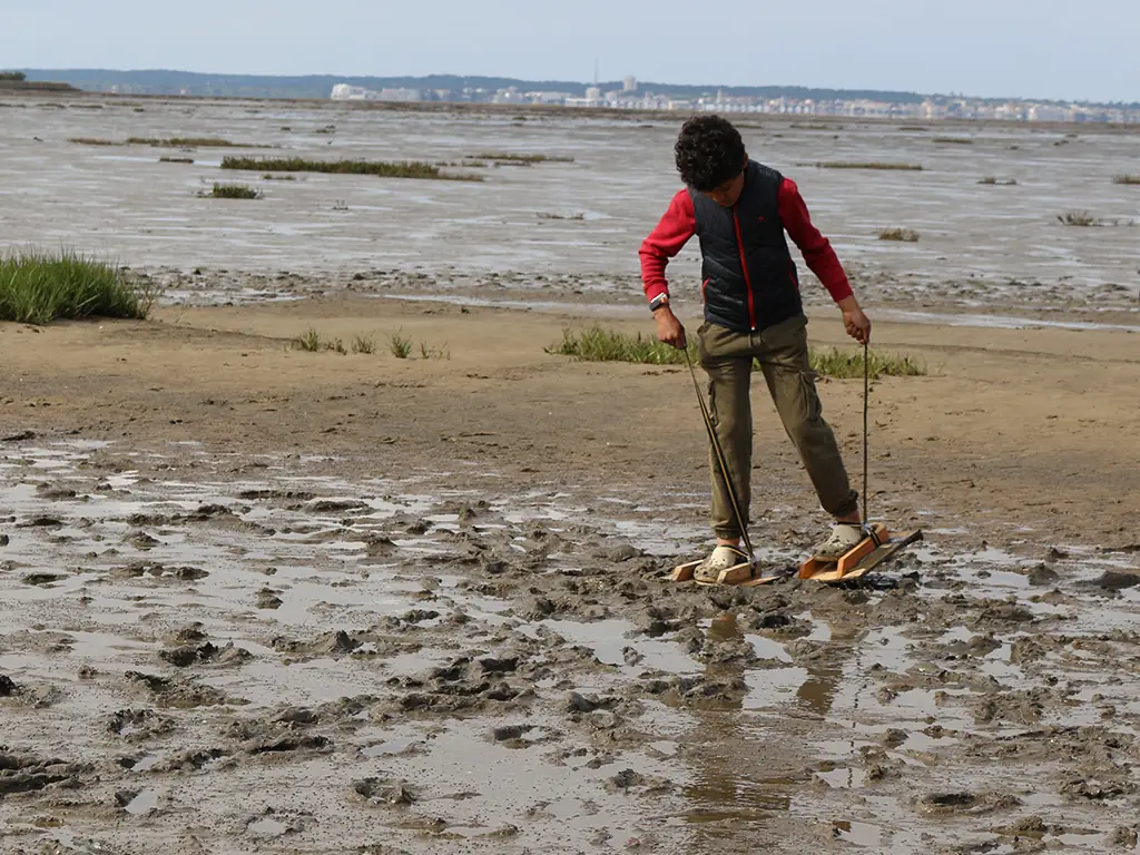 Les trésors cachés à marée basse
