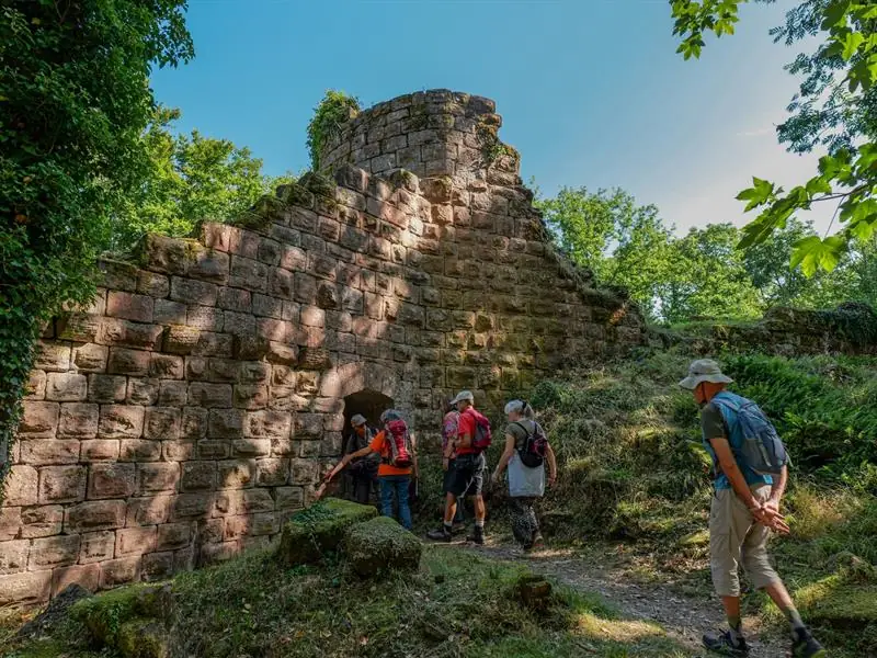 Sentiers Plaisir : le château de Guirbaden, quand les murs reprennent vie...