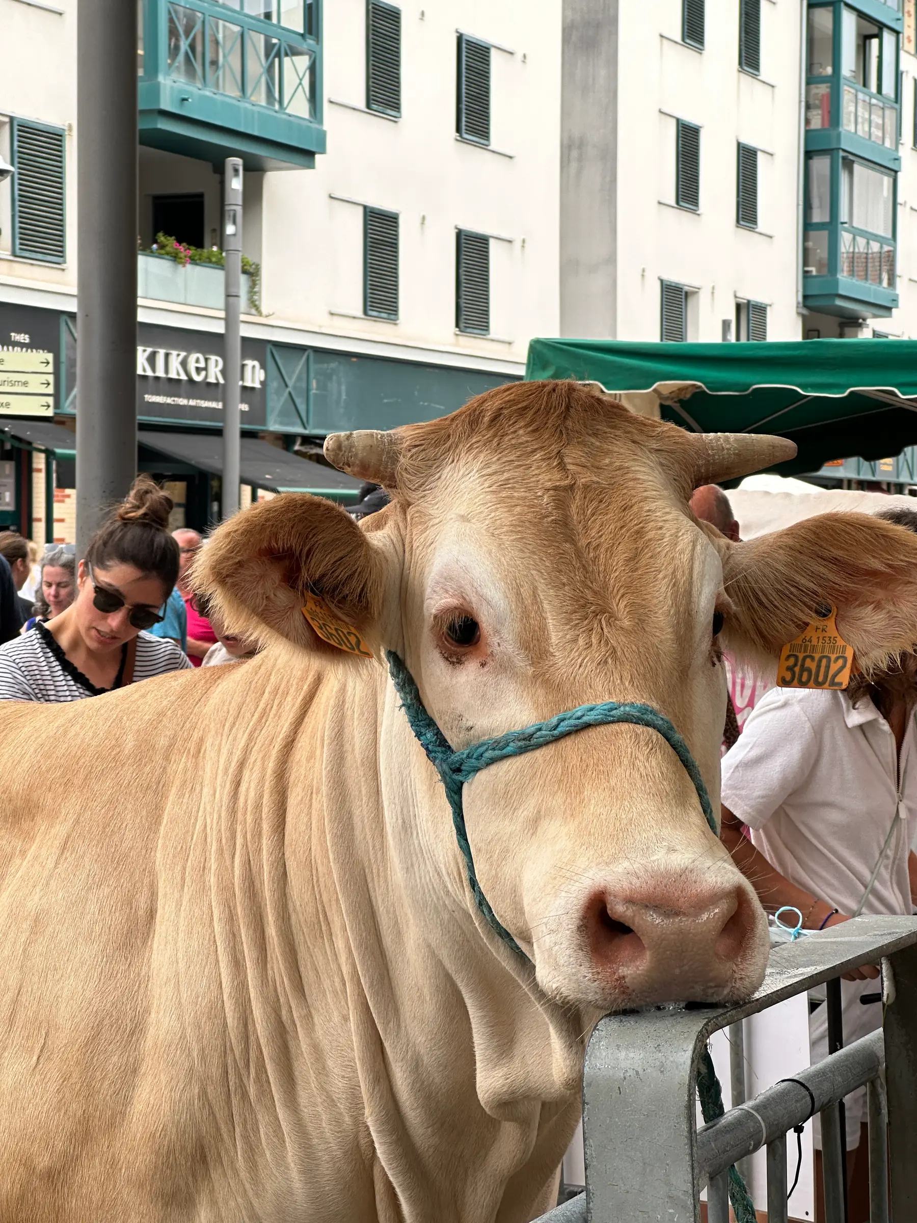 Nos terroirs en fête