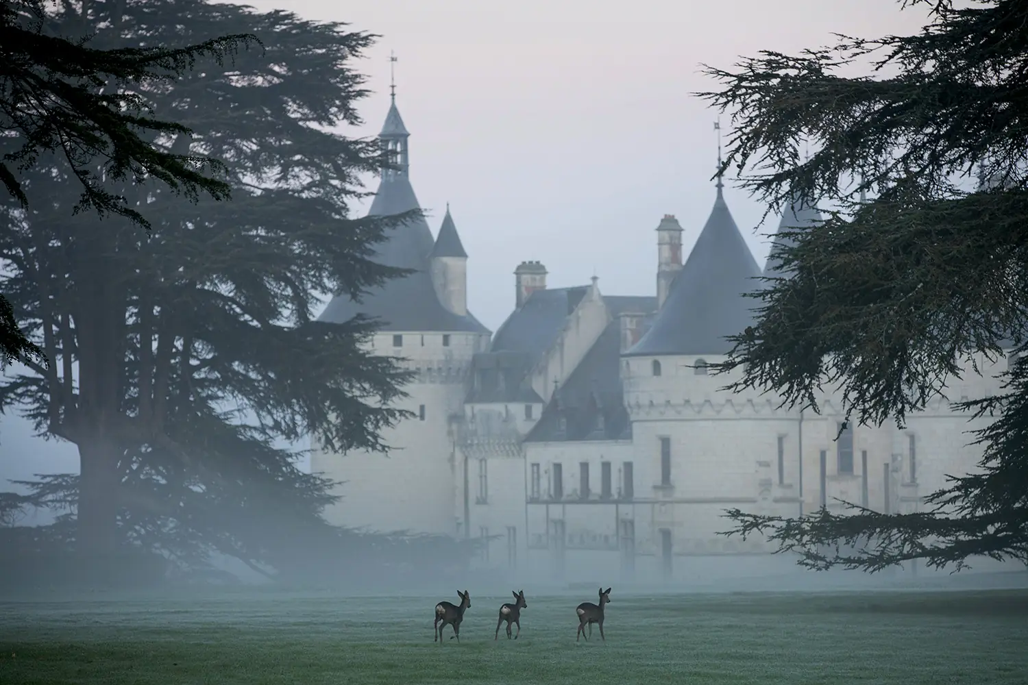 Rêves d'antan - Noël au Domaine de Chaumont-sur-Loire