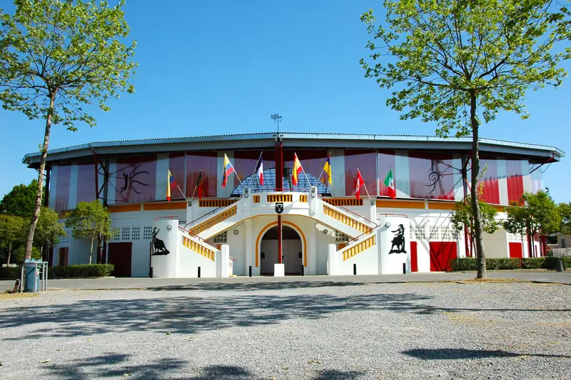 Arènes de Pomarez, la "Mecque de la Course Landaise"