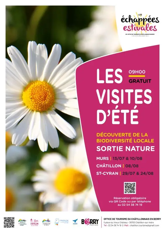 Promenades natures accompagnées à la découverte de la biodiversité locale
