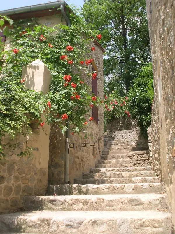 VISITE GUIDÉE DU VILLAGE DE VERNET-LES-BAINS
