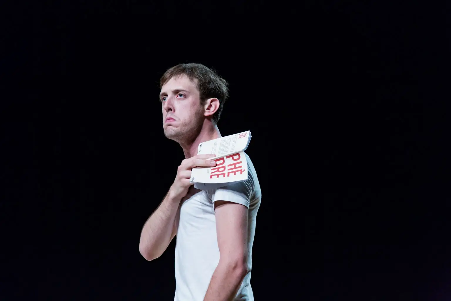 Festival de Théâtre de Figeac, lecture, cinéma, théâtre "Phèdre" et le "Grand Vertige"